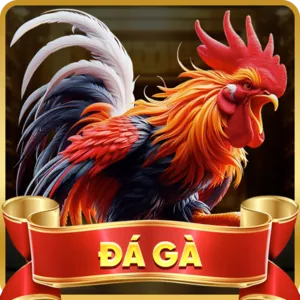 Đăng Ký Tài Khoản